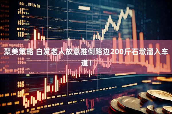聚美策略 白发老人故意推倒路边200斤石墩溜入车道！