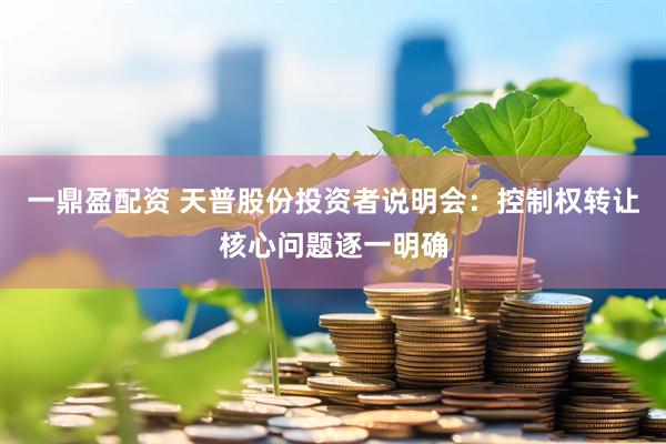一鼎盈配资 天普股份投资者说明会：控制权转让核心问题逐一明确