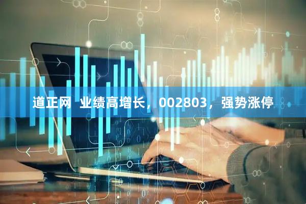 道正网  业绩高增长，002803，强势涨停